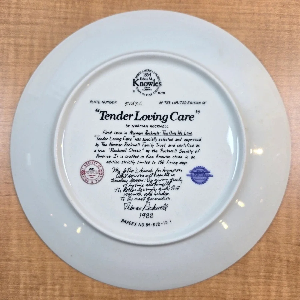 TENDER LOVING CARE Norman Rockwell 8.5